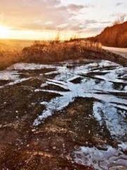 Fu Zi Mo Qin Luo Yan