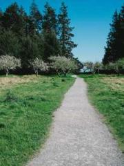 Shen Ning Ran Bo Jin