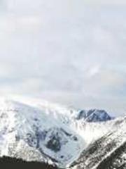 Rebirth as a Court A