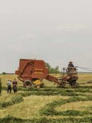 The Imperial Uncleap