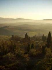 The Exclusive Daught