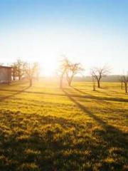 lt;Dragon King Legen