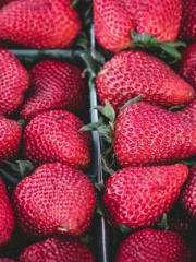 Falling for You: The