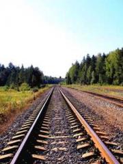 King of Nine Profoun