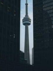 Dangerously Close to