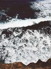 lt;Honor calls for N