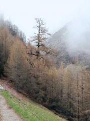 lt;lt;Know Green, Do