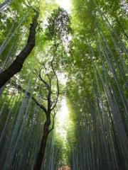 The Sovereign of the