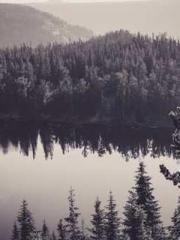 [Fast Travel] Posses