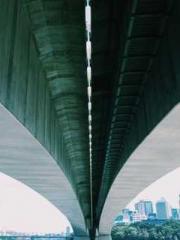 The Imperial Concubi