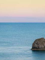 Jiang Mingzhu Zhou L