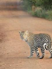 lt;lt;Know Green, Do