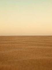 The Rough Man Hunter