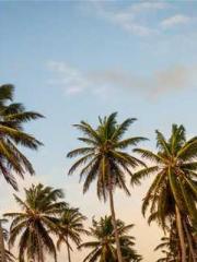 Professor Yan is goi