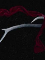 Rebirth of the Urban