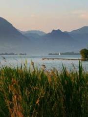 Super husband Lin Xi