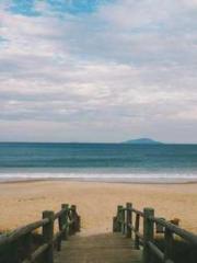 Becoming a solitary 