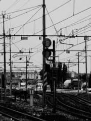 Shen Ning Ran Bo Jin