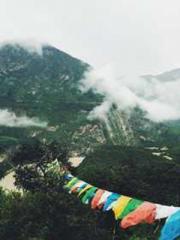 lt;lt;Know Green, Do