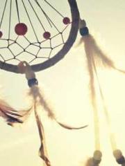lt;Honor calls for N