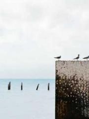 lt;lt;All in, my dec